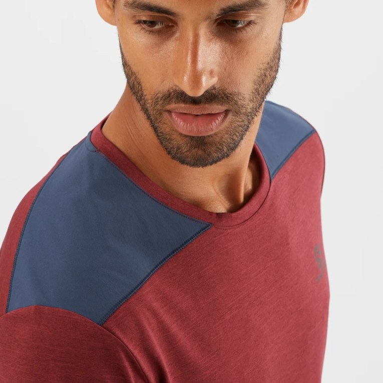 Dark Red / Navy Salomon Outline Short Sleeve Men's T-Shirts | PH 37065C